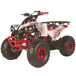 Fully Assembled and Tested! X-PRO Storm 125cc ATV with Automatic Transmission w/Reverse, LED Headlights, Electric Start, Big 19"/18" Tires!